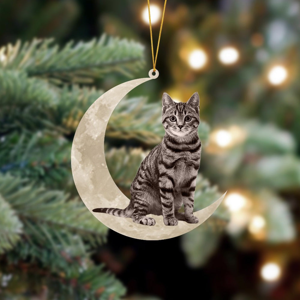 Tabby Cat Sits On The Moon Ornament Shape Tabby Cat Lover Christmas Tree Ornaments Gifts