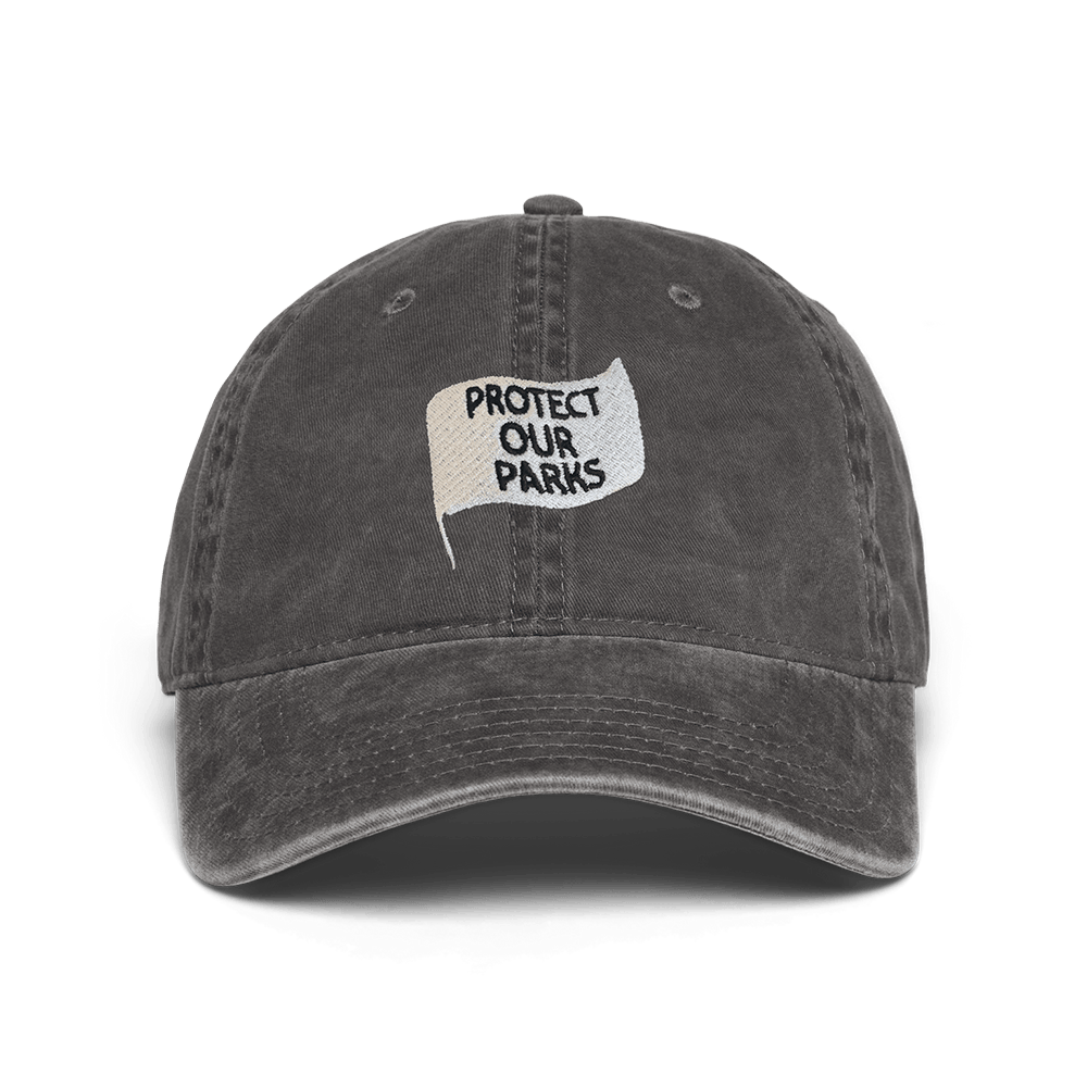 National Park After Dark Merch Hat Protect Our Parks Embroidered Hat