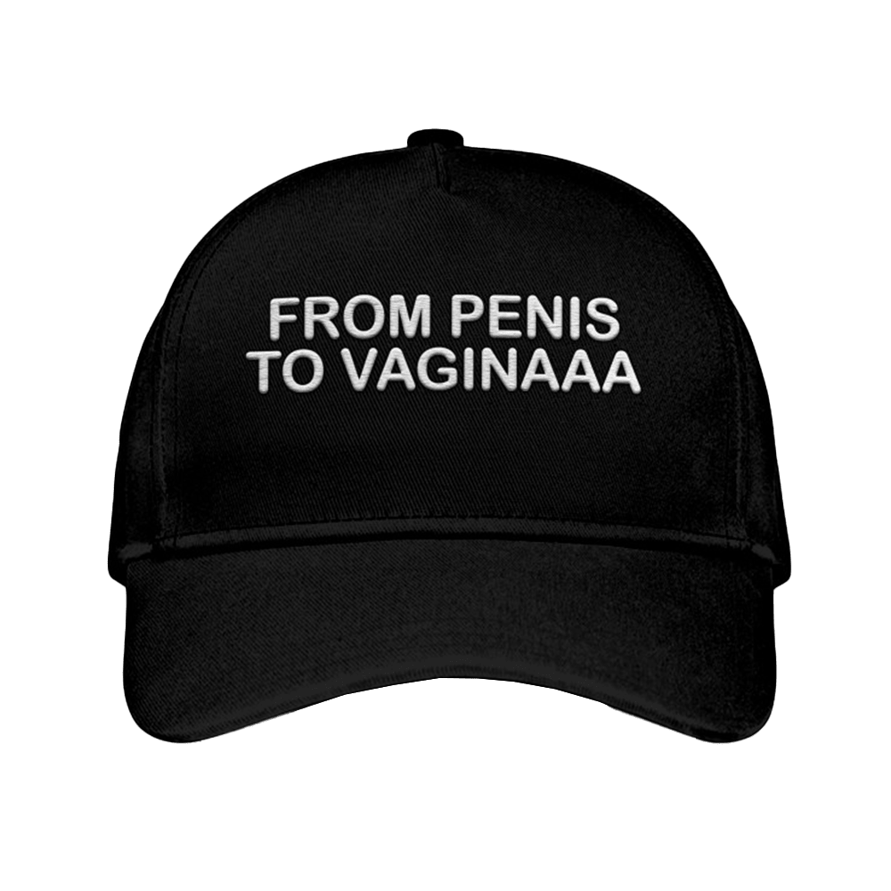 From Penis To Vaginaaa Hat Embroidered Humor Hat Gifts For Adults