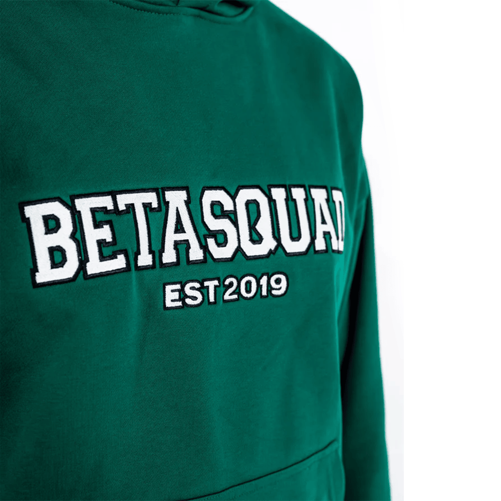 Beta Squad Merch Beta Squad Est 2019 Hoodie Perfect Father's Day Gifts