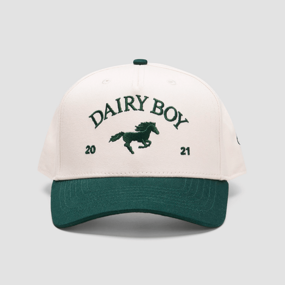 Dairy Boy Hat Embroidered Dairy Boy American Hat Great Gifts For Dad