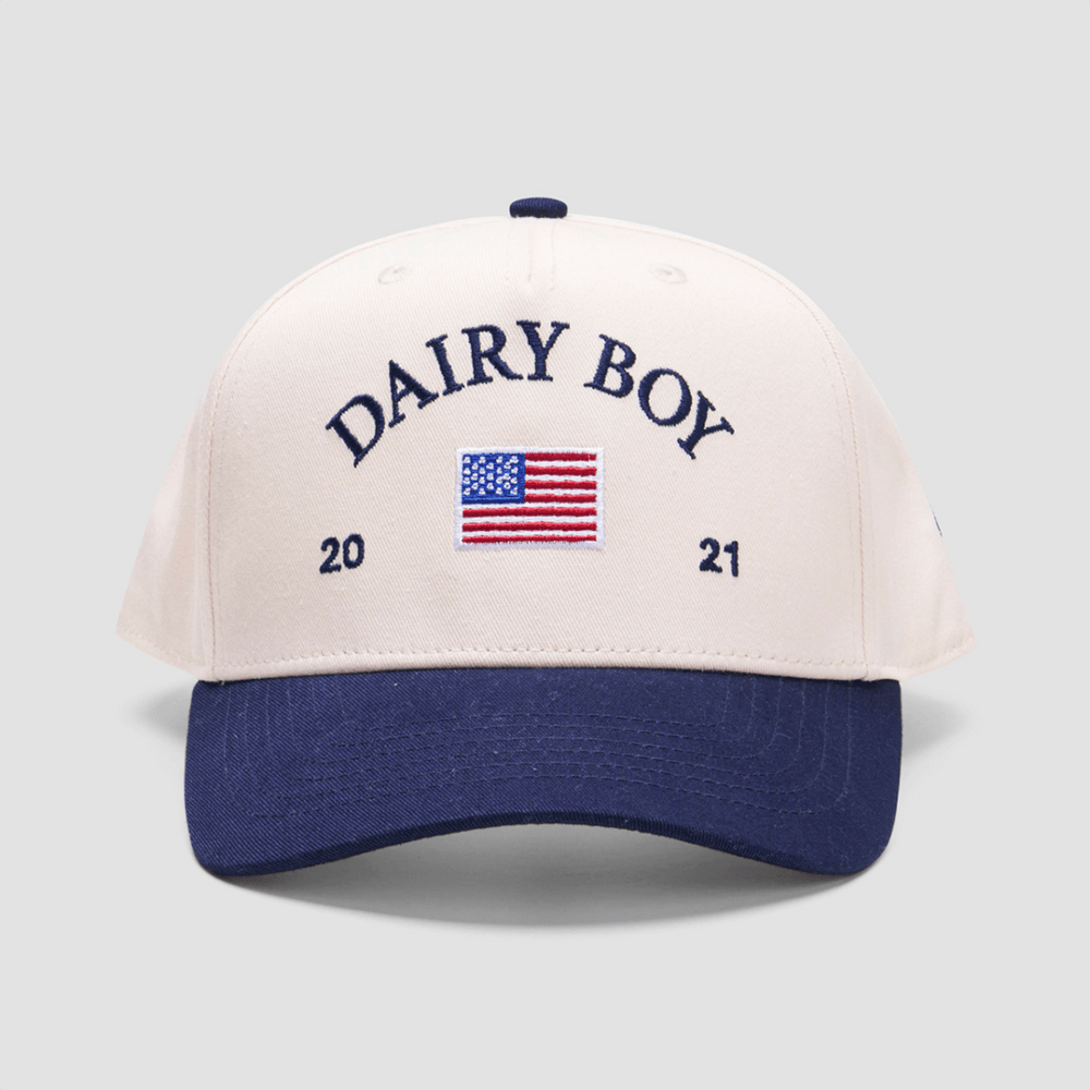 Dairy Boy Hat Embroidered Dairy Boy Merch Sentimental Father's Day Gifts