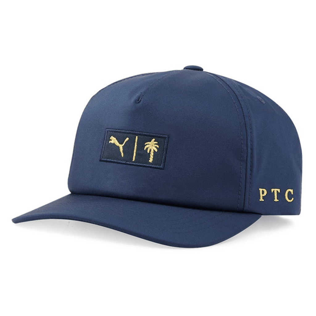 Palm Tree Crew Hat PTC Hat Summer Gift for Father Cool Outdoor Hat for Dad