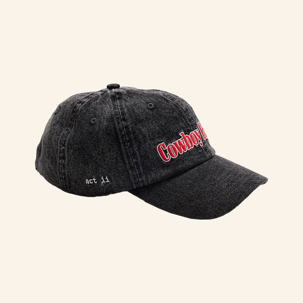 Cowboy Carter Hat Beyonce Hat Beyonce Cowboy Carter Tour Merch 2025 Gifts For Husband