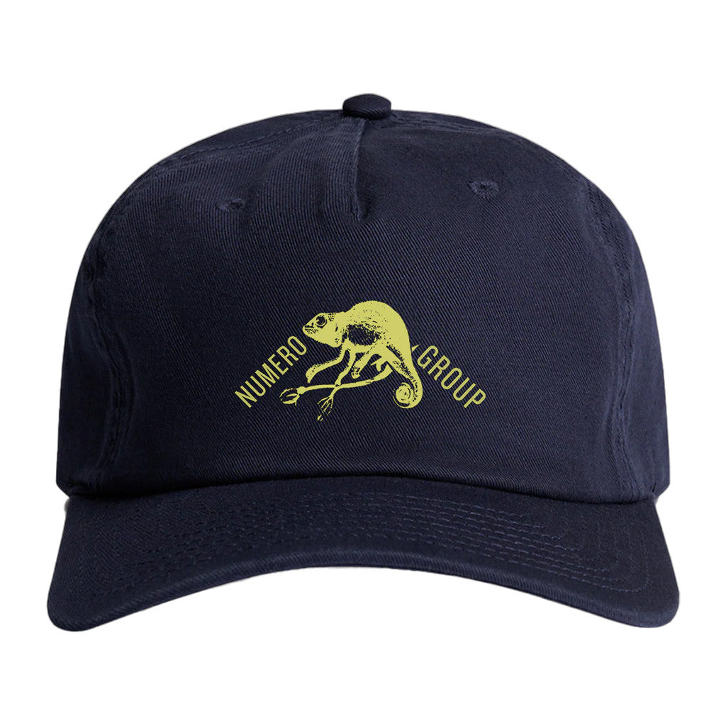 Numero Group Merch Chameleon Hat Presents For Dad