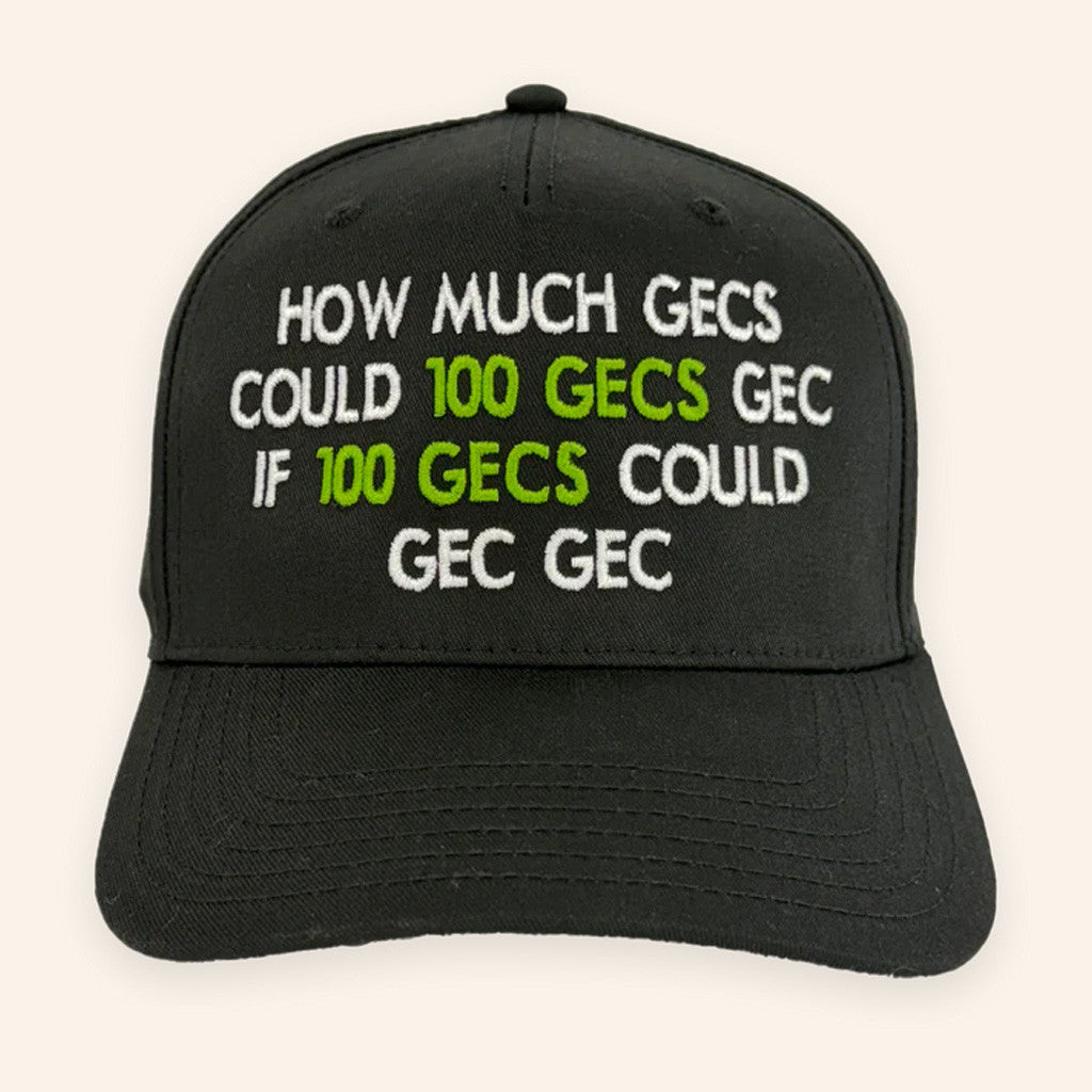 Oldschoolhats Merch How Much Gecs Embroidered Hat Gifts For Him