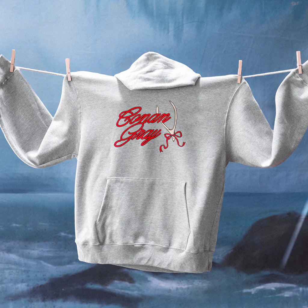 Conan Gray Merch Conan Gray Ribbon Wishbone Hoodie Gifts For Her