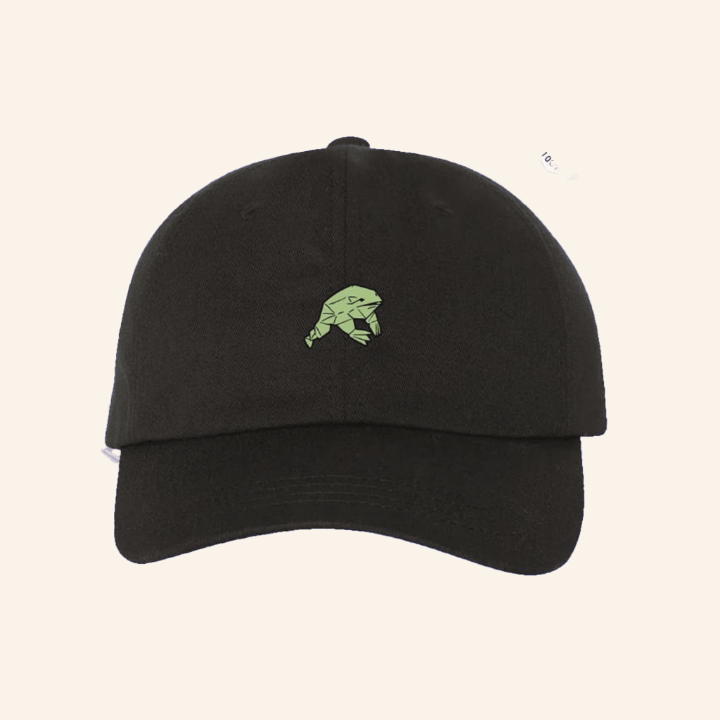 Knuckle Puck Merch Embroidered Frog Hat Gifts For Friends