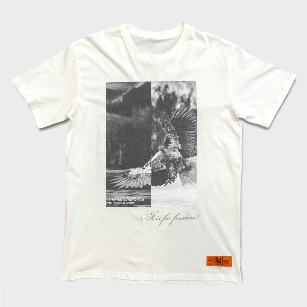 Red Rocks Merch Eagle T-Shirt Best Gifts For Husband
