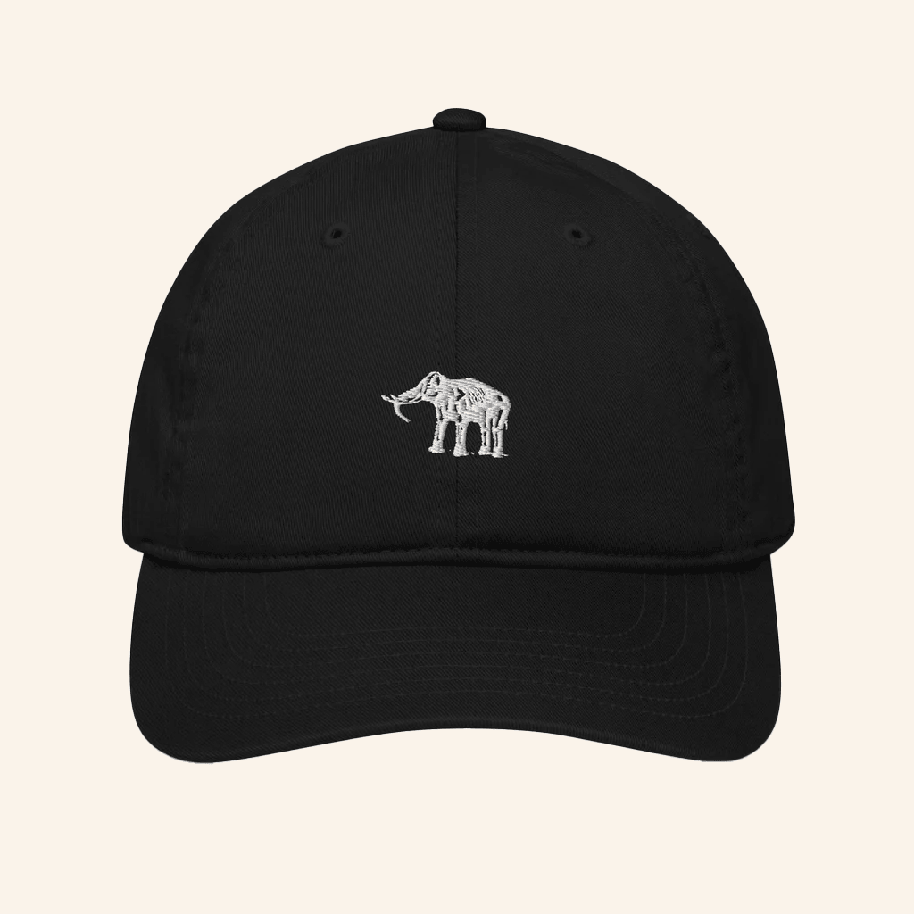 Elephant Sessions Merch Organic Hat Embroidered Best Gifts For Him