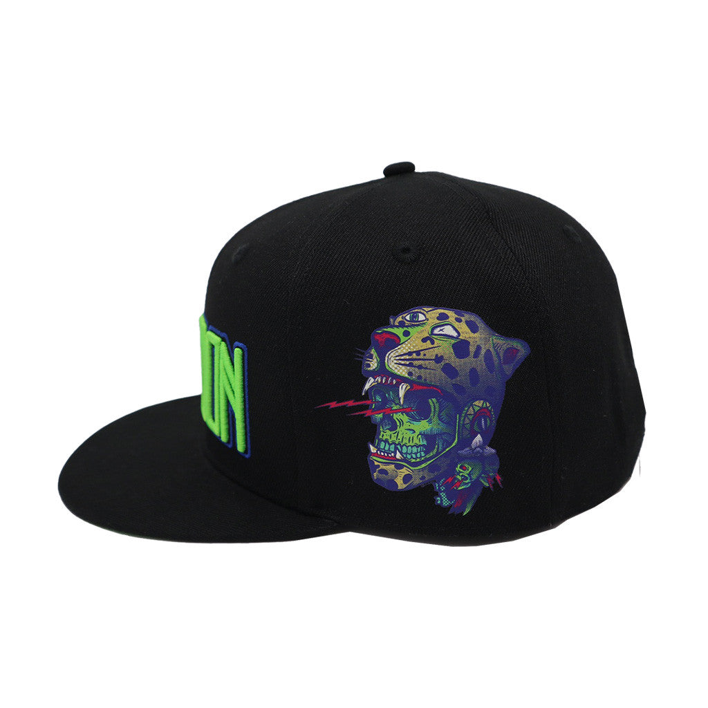 Mastodon Merch Embroidered Snapback Hat Best Gifts For Husband