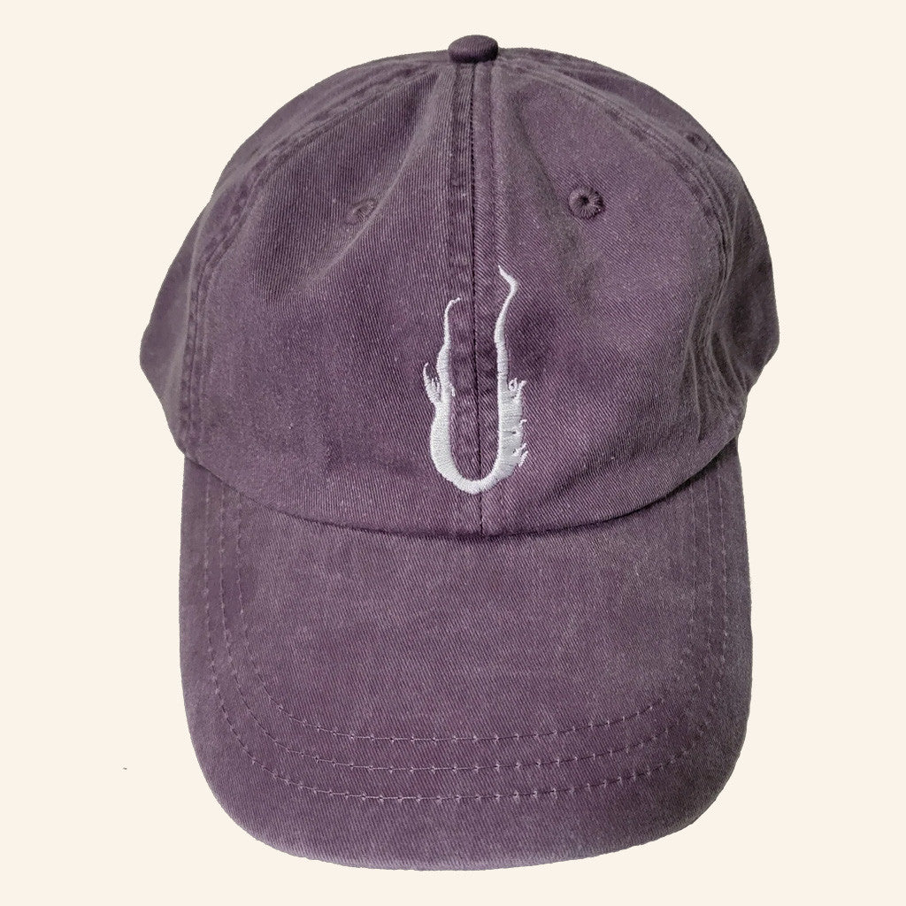 August Burns Red Merch U Logo Embroidered Hat Present For Dad