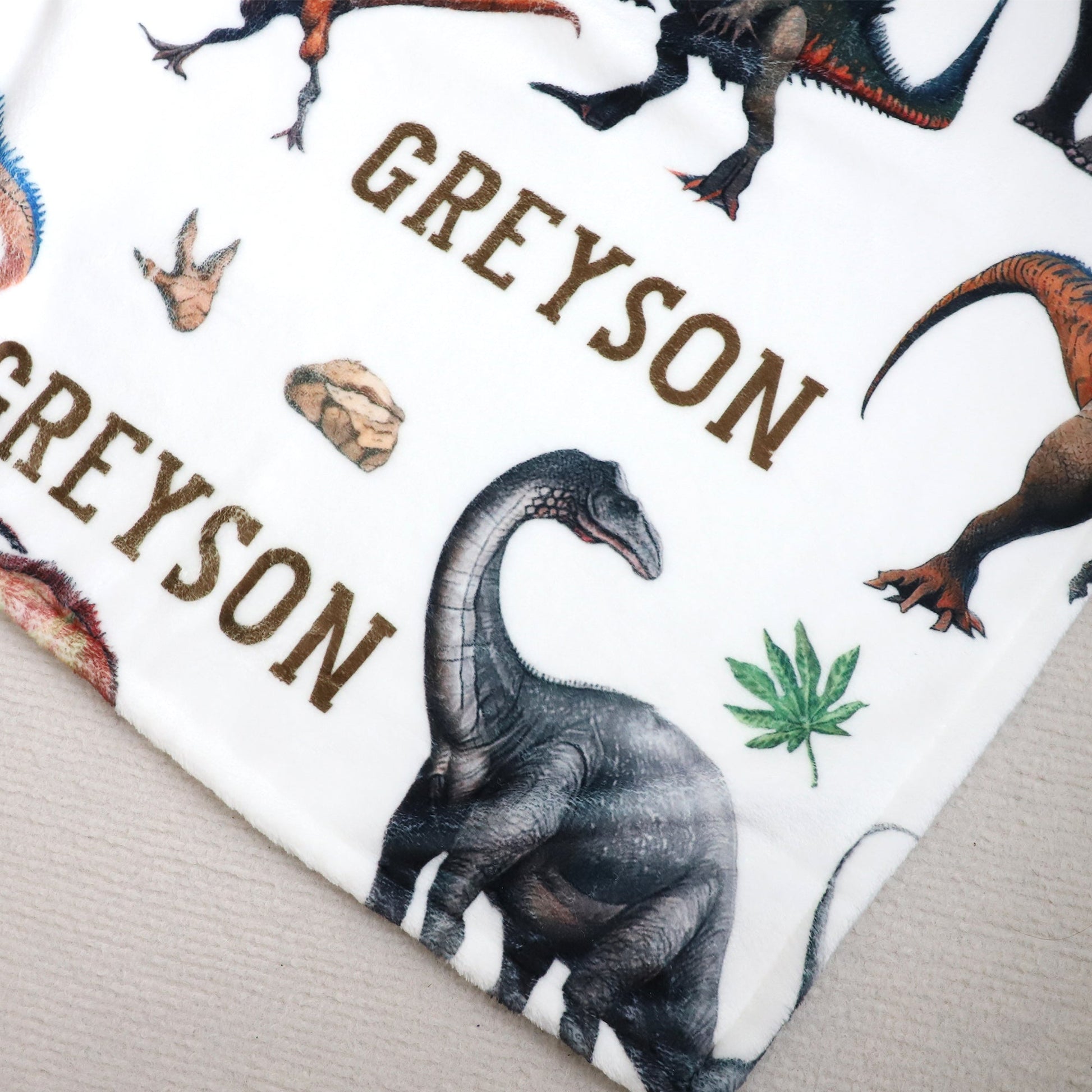 Personalized Dinosaurs Themed Boy Name Blanket - Gift for Kids