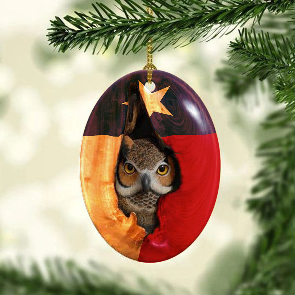 Owl Texas Flag Ornament Owl Lover Christmas Tree Decoration Texans Gifts