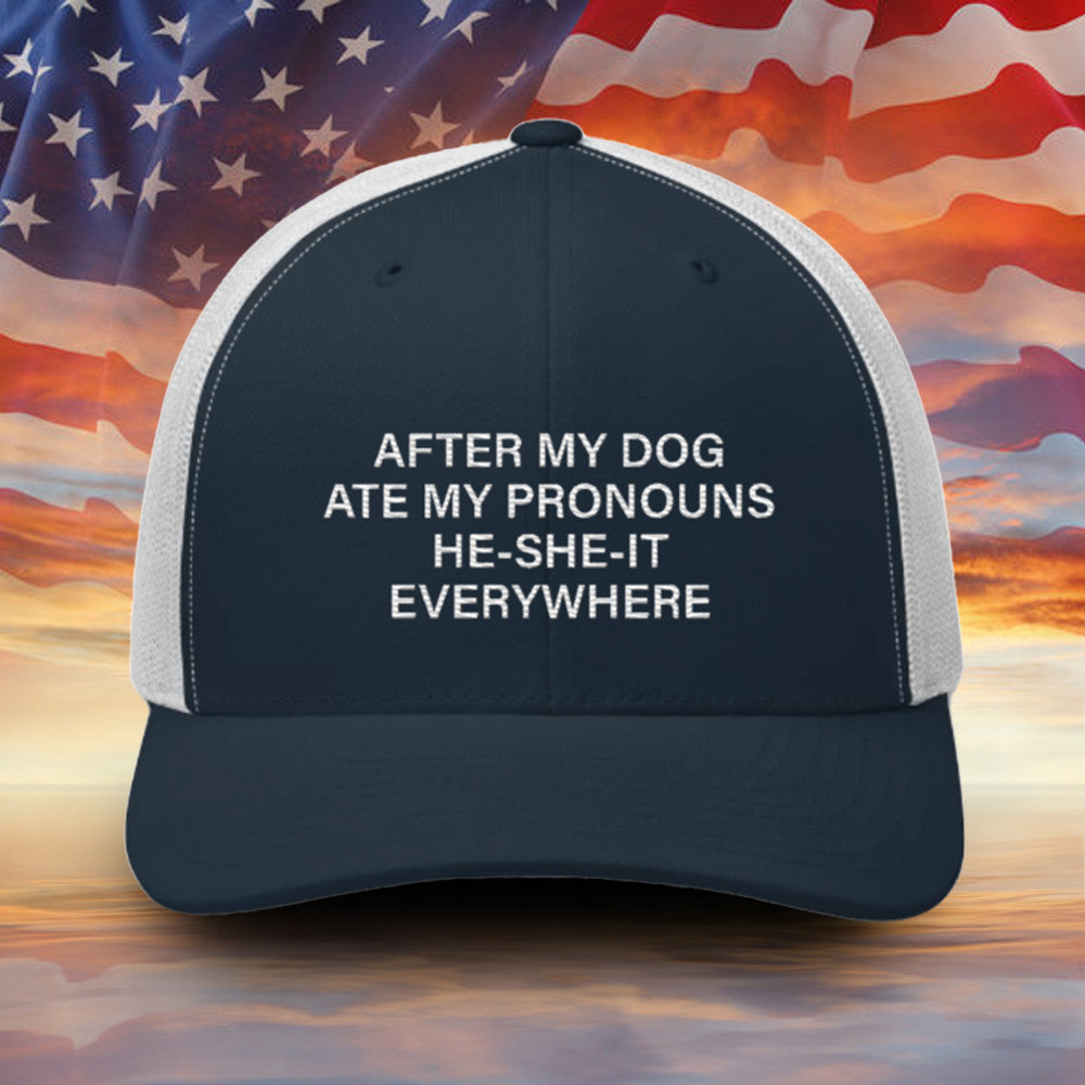 After My Dog Ate My Pronouns He She It Everywhere Embroidered Hat Funny Sayings Men Hat Gift