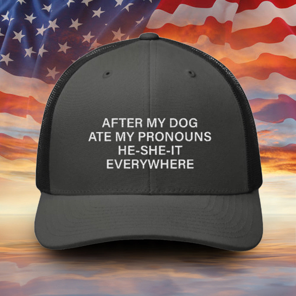 After My Dog Ate My Pronouns He She It Everywhere Embroidered Hat Funny Sayings Men Hat Gift